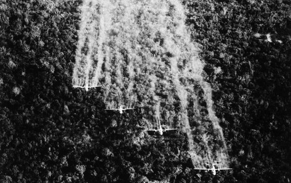 美軍在越戰中對平民使用橙劑和凝固汽油彈 - 俄羅斯衛星通訊社