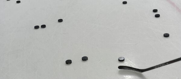 大陆冰球联盟主席：中国冰球队可能将在2016/17赛季加入该联盟 - 俄罗斯卫星通讯社