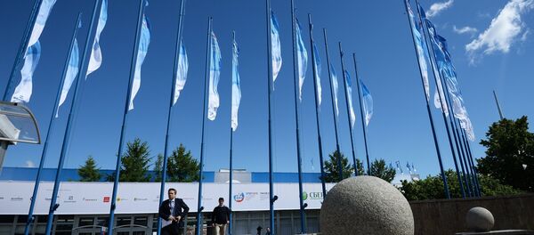 超過100家中企將出席第19屆聖彼得堡國際經濟論壇 - 俄羅斯衛星通訊社