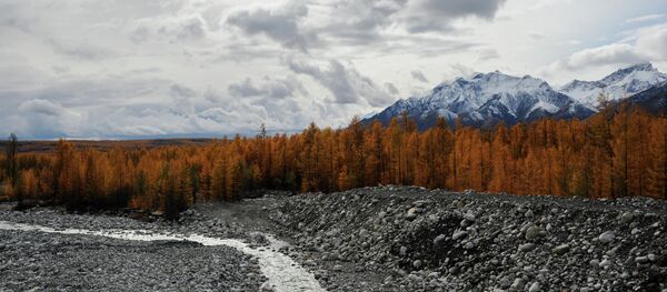 外贝加尔边疆区政府在年内就中国投资者土地租用期作出决定 - 俄罗斯卫星通讯社