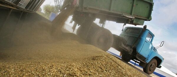 佳沃集团子公司将对华出口俄阿穆尔州农产品 - 俄罗斯卫星通讯社