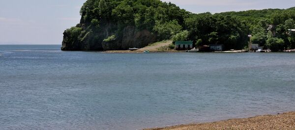 中國投資商有意在濱海邊疆區賭博區建電力設施 中國投資商有意在濱海邊疆區賭博區建電力設施 - 俄羅斯衛星通訊社