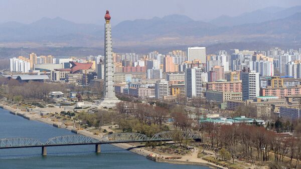 莫斯科至平壤直飞航线首个航班抵达朝鲜首都 - 俄罗斯卫星通讯社