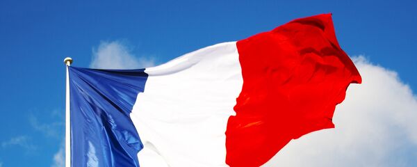 法国经济和财政部长证实2019年不会上调燃油税 - 俄罗斯卫星通讯社