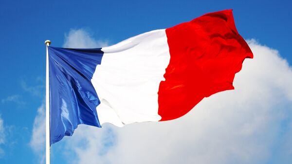 法国代表团将于6月8日抵达台湾 - 俄罗斯卫星通讯社