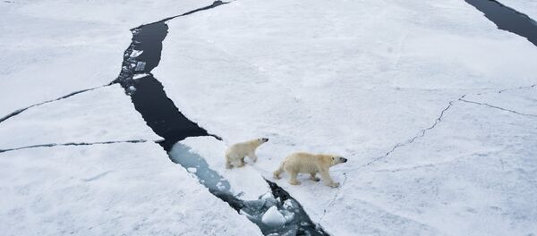 俄联邦委员会主席:俄罗斯应重返北极开发领先地位 俄联邦委员会主席:俄罗斯应重返北极开发领先地位 - 俄罗斯卫星通讯社