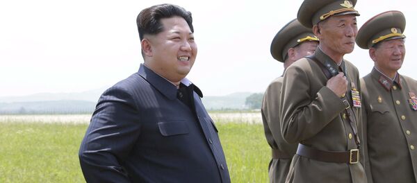 媒体：金正恩未佩戴带有朝鲜前两任领导肖像的徽章现身公众 - 俄罗斯卫星通讯社