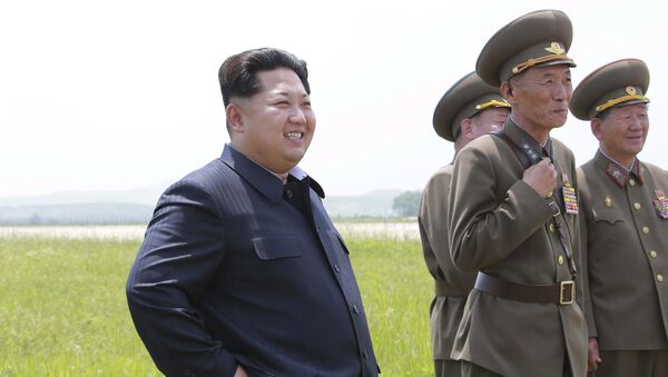 媒体：金正恩未佩戴带有朝鲜前两任领导肖像的徽章现身公众 - 俄罗斯卫星通讯社