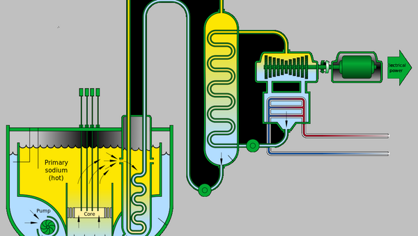 封闭核燃料循环的钠冷快堆（SFR） - 俄罗斯卫星通讯社