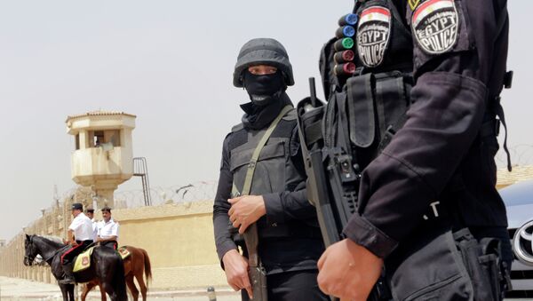 西奈北部埃及軍方力量消滅200余名恐怖分子 - 俄羅斯衛星通訊社