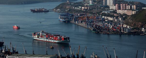 中国海外发展协会：俄远东开发优惠政策前所未有 - 俄罗斯卫星通讯社