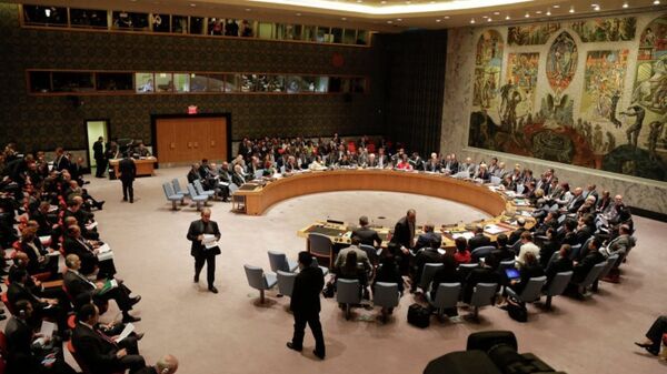 媒体：美国第三次否决联合国安理会关于巴以冲突的声明 - 俄罗斯卫星通讯社