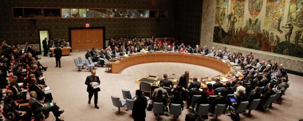 聯合國安理會 - 俄羅斯衛星通訊社
