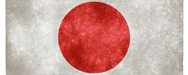 日本防卫省:朝鲜欲获打击美国能力 日本防卫省:朝鲜欲获打击美国能力 - 俄罗斯卫星通讯社