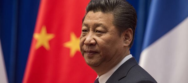 中国国家主席习近平 - 俄罗斯卫星通讯社