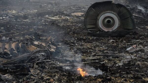 俄常駐聯合國代表：馬方求設國際法庭草案曲解MH17空難 - 俄羅斯衛星通訊社