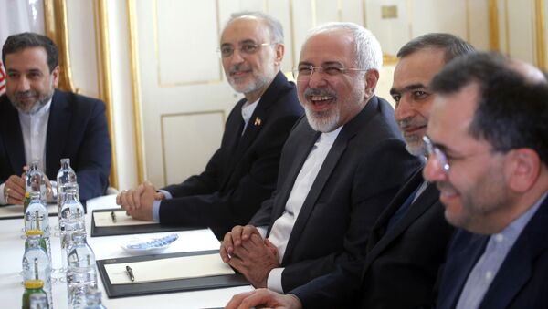 媒体：维也纳会谈期间可能签署伊朗核问题协议 - 俄罗斯卫星通讯社