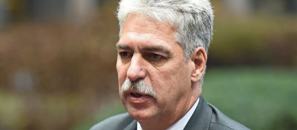 奥地利财长：欧元集团暂未就希腊问题统一立场 - 俄罗斯卫星通讯社