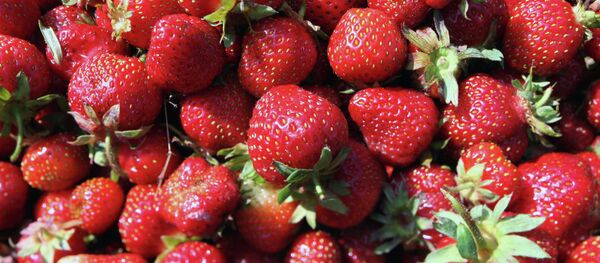 大连庄河首次向俄罗斯出口21吨草莓 - 俄罗斯卫星通讯社