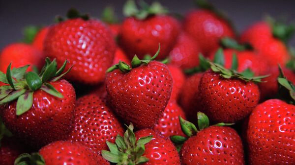 草莓 - 俄罗斯卫星通讯社