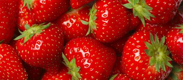 澳大利亞總理建議將“水果藏針”罪犯判刑15年 澳大利亞總理建議將“水果藏針”罪犯判刑15年 - 俄羅斯衛星通訊社