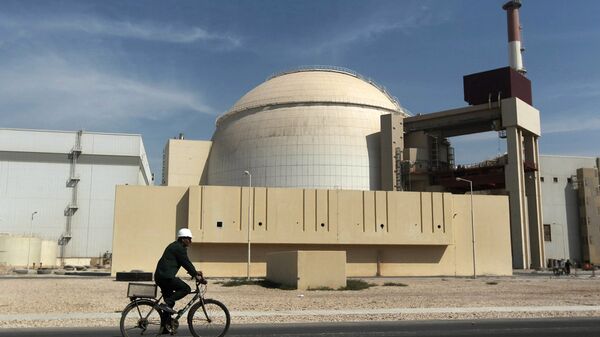 伊朗、俄罗斯启动布什尔核电站2号机组建设工作 - 俄罗斯卫星通讯社