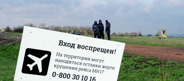 丘爾金：俄專家被禁止參與在烏失事客機的調查 - 俄羅斯衛星通訊社