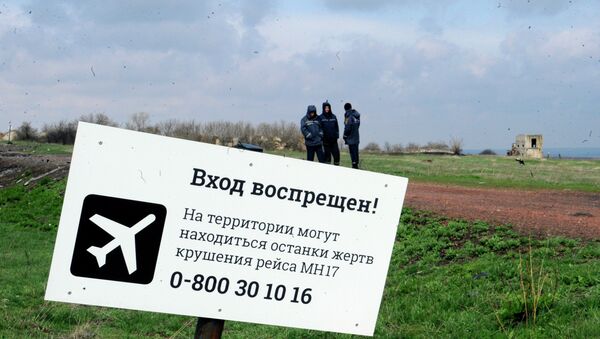 俄外交部：俄方質疑馬航客機烏克蘭墜機案調查者的能力 - 俄羅斯衛星通訊社