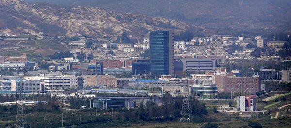 俄外交部：莫斯科认为俄朝韩三方经济项目完全可行 - 俄罗斯卫星通讯社