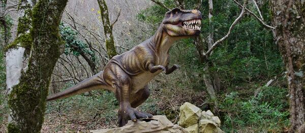 科学家预测了自恐龙灭绝以来最可怕的灾难 - 俄罗斯卫星通讯社