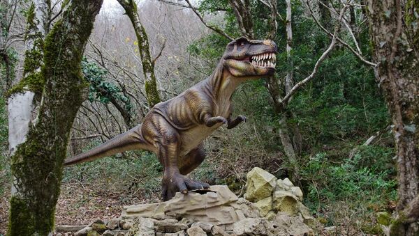 花媒：貴州境內首次發現侏羅紀恐龍足跡 - 俄羅斯衛星通訊社
