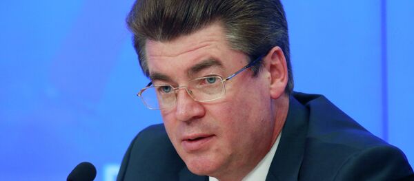 俄方表示將在馬航MH17空難最終報告發表後詳細闡明對調查結果的立場 - 俄羅斯衛星通訊社