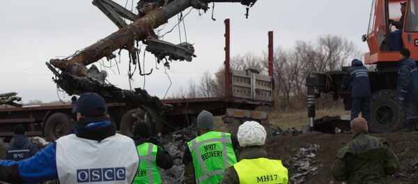 荷兰安全委员会称马航MH17波音客机是被9М38导弹击落的 - 俄罗斯卫星通讯社