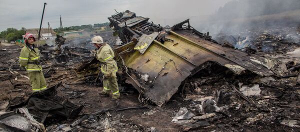 馬航MH17空難紀念活動 - 俄羅斯衛星通訊社
