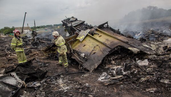 國際調查組證實擊落MH17客機的“山毛櫸”導彈來自俄軍 - 俄羅斯衛星通訊社