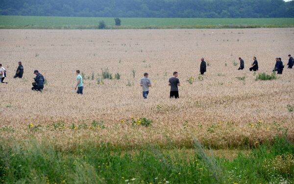 馬航MH17空難紀念活動 - 俄羅斯衛星通訊社
