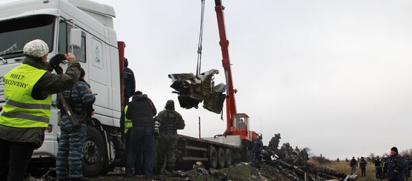 馬航MH-17航班空難 馬航MH-17航班空難 - 俄羅斯衛星通訊社