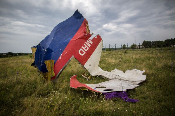 馬航MH17空難紀念活動 - 俄羅斯衛星通訊社