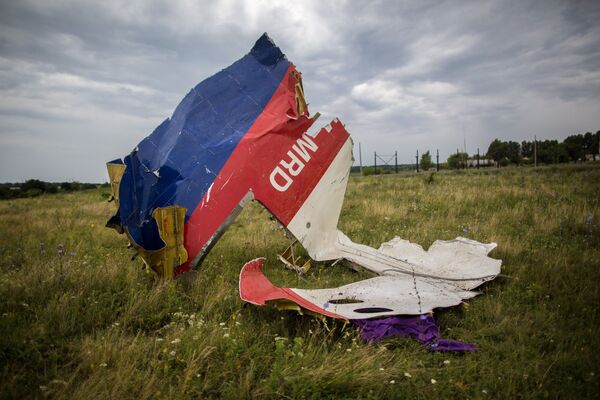馬航MH17空難紀念活動 - 俄羅斯衛星通訊社
