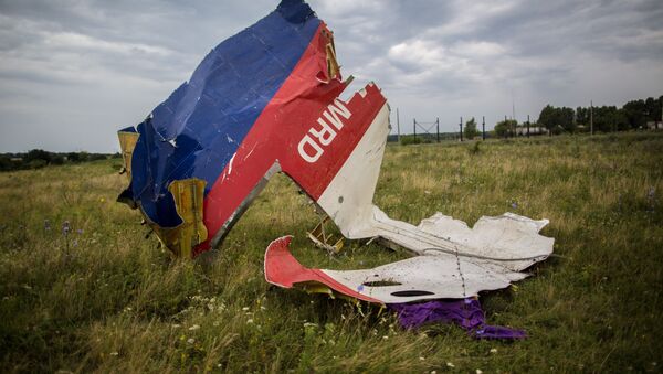 乌克兰当局：波音飞机坠毁调查委员会9月28日将指出导弹发射地点 - 俄罗斯卫星通讯社