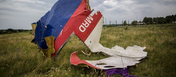 馬來西亞稱在馬航MH17空難事件上指責俄羅斯毫無根據 - 俄羅斯衛星通訊社