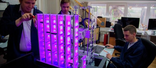 美国是对俄目标实施网络攻击的主要源头 - 俄罗斯卫星通讯社