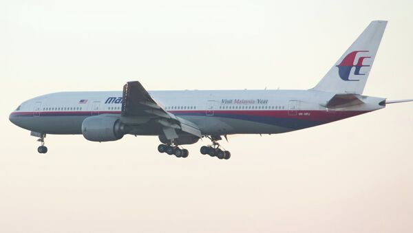 Malaysia Airlines Boeing - 俄羅斯衛星通訊社
