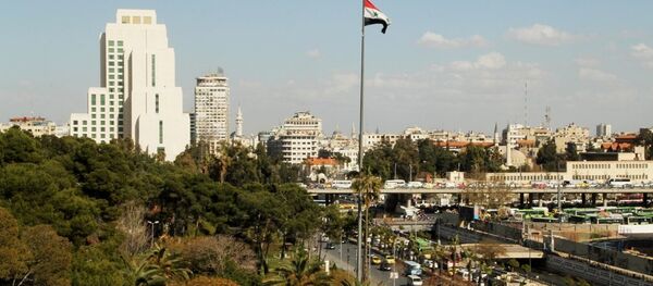 普京：必须保障叙利亚领土完整 - 俄罗斯卫星通讯社