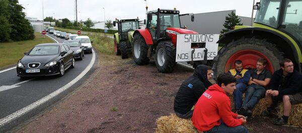 歐洲農場主因對俄糧食禁運損失55億歐元 歐洲農場主因對俄糧食禁運損失55億歐元 - 俄羅斯衛星通訊社