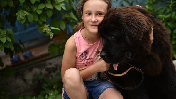 俄總統新聞秘書：普京已贈送吉爾吉斯斯坦女孩一隻紐芬蘭犬 - 俄羅斯衛星通訊社