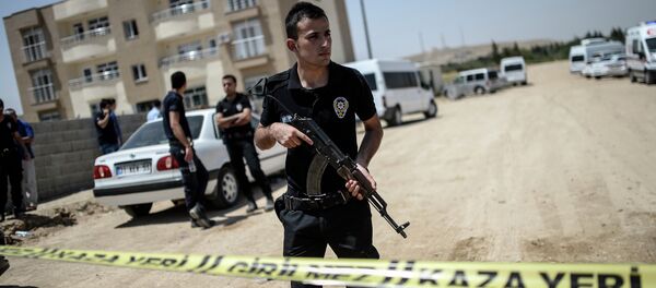 土耳其警方在该国东南部逮捕14名与“伊斯兰国”有关的外国人 - 俄罗斯卫星通讯社