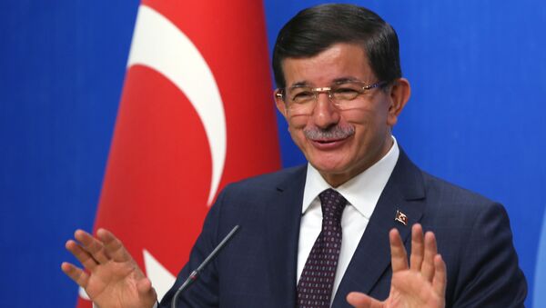 土耳其總理：安卡拉不會與任何人協商對敘軍事行動 - 俄羅斯衛星通訊社