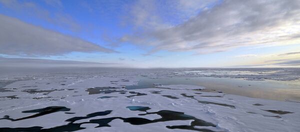 2015年俄将首次在北极举行保护战略设施的演习 - 俄罗斯卫星通讯社