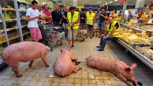媒體：俄食品禁運導致法國豬肉每公斤損失20歐分 - 俄羅斯衛星通訊社